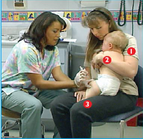 Pediatric Ear Exams – PEM Source